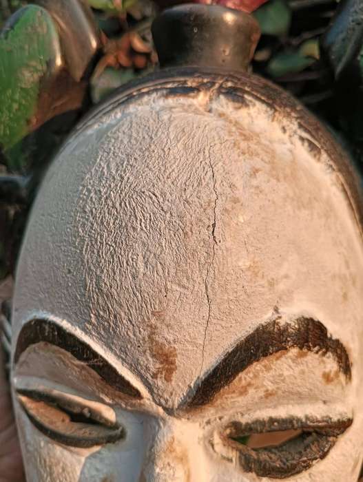 PUNU WHITE FACED MAIDEN WOODEN SPIRIT MASK FROM THE ZAIRE GABON RAINFOREST PEOPLE