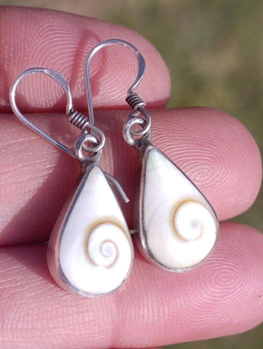 Sterling Teardrop Shell Earrings