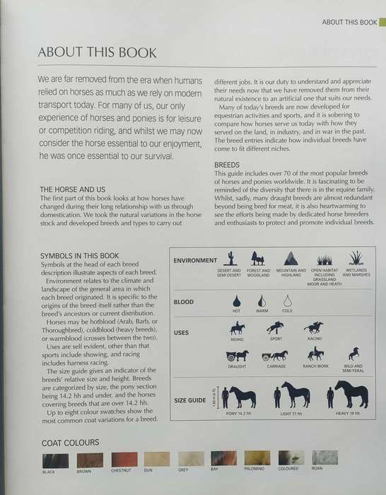 The Ultimate Guide to Horses