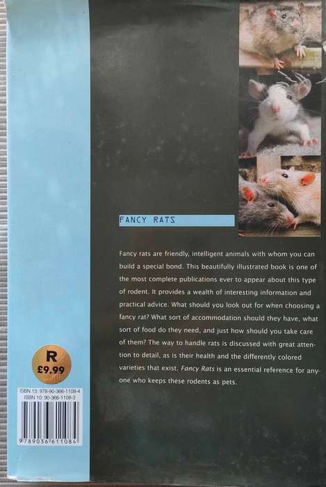 Fancy Rats