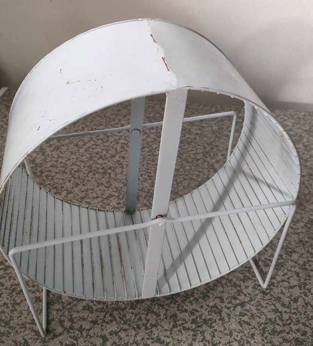Rat Wheel - Jumbo