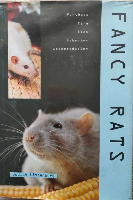 Fancy Rats