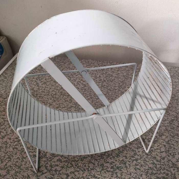 Rat Wheel - Jumbo