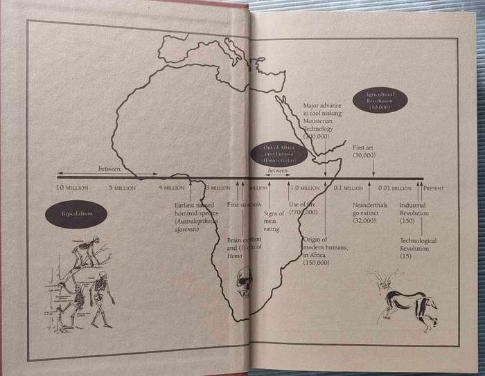 Origins Reconsidered-In Search of What Makes Us Human