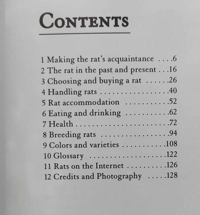 Fancy Rats