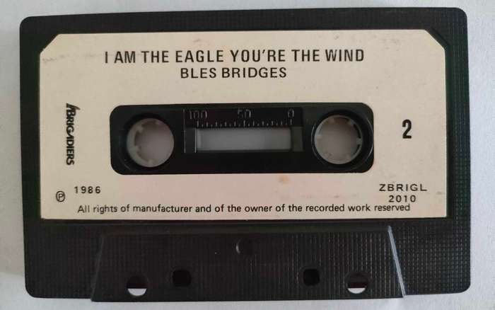 Bles Bridges- I am the Eagle you are the Wind