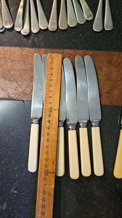 Vintage Bone Handle Cutlery