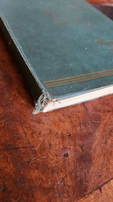 1888-1947 Past & Present Springbok Book Plus Rugby Song Book