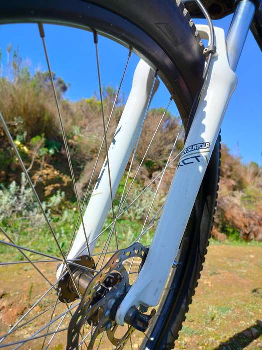 Avalanche 29er MTB | Maxxis Tubeless Tyres | Shimano Hydraulic Brakes
