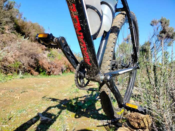 Avalanche 29er MTB | Maxxis Tubeless Tyres | Shimano Hydraulic Brakes