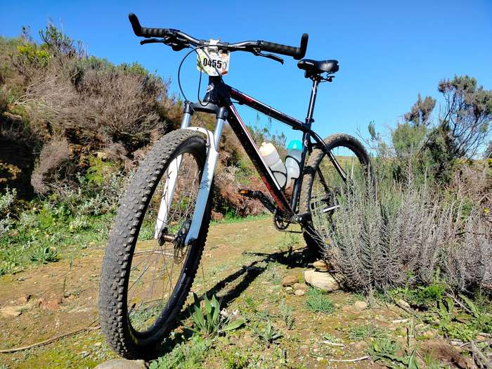 Avalanche 29er MTB | Maxxis Tubeless Tyres | Shimano Hydraulic Brakes