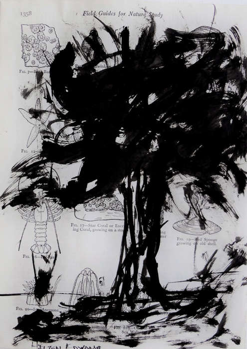 Hilton Edwards - tree series