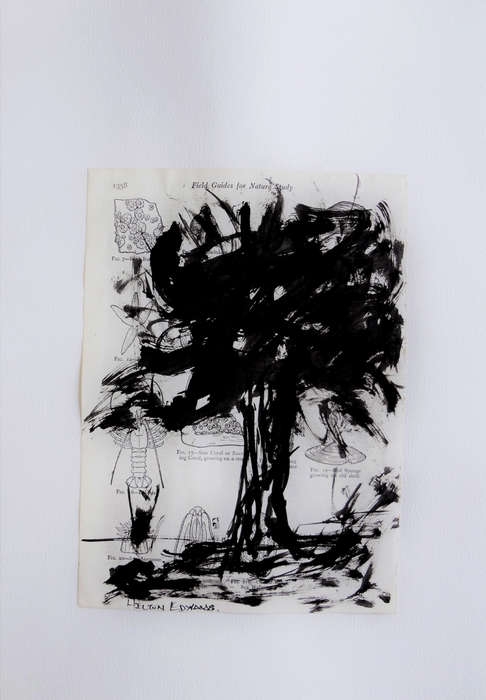 Hilton Edwards - tree series