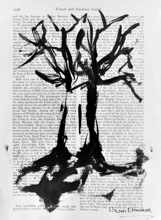 Hilton Edwards - Baobab Series