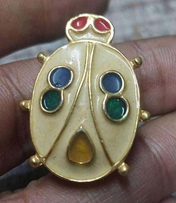 Vintage lady bug brooch never used