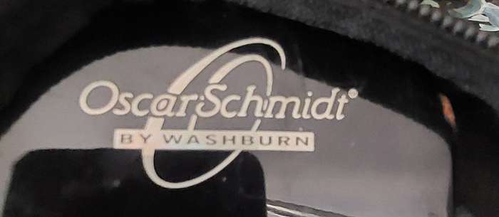 Oscar Schmidt Acoustic/Electric Guitar missing 1 string incl carry bag