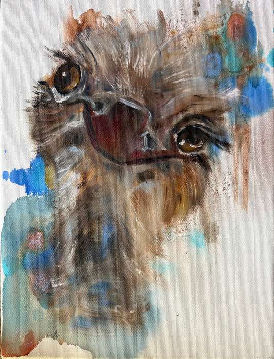 Ostrich blues