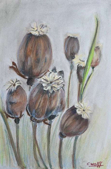 Pastel poppies