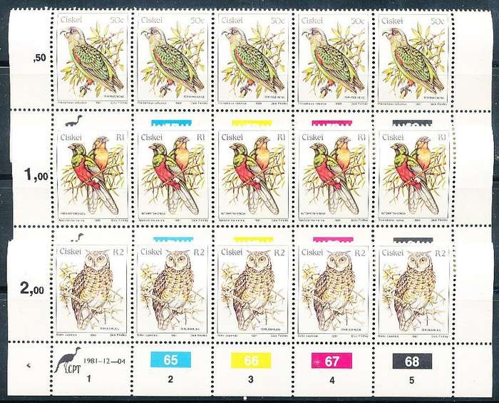 CISKEI    1981  -   DEFINITIVE SET OF CONTROLS  FINE  MINT
