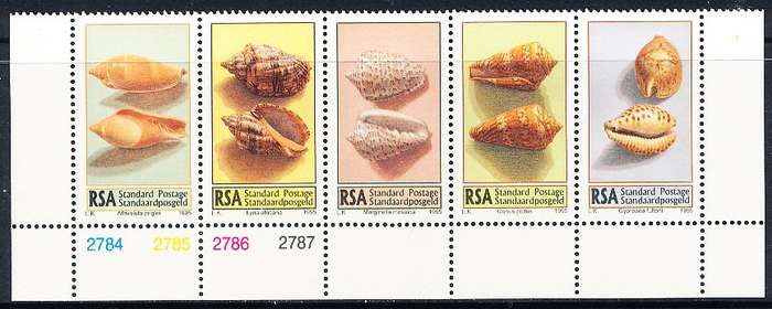 RSA   -  1995  -    Sea Shells   CONTROL BLOCK  - FINE  MINT
