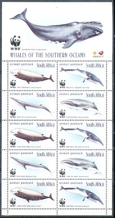 RSA -  1998  -  Whales of the Southern Ocean   FULL SHEET  - FINE  MINT