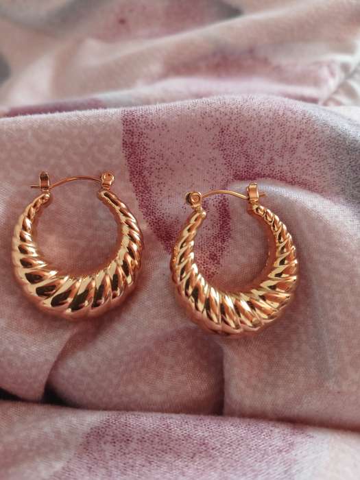 Shell Gold Plated Stainless Steel Earrings
