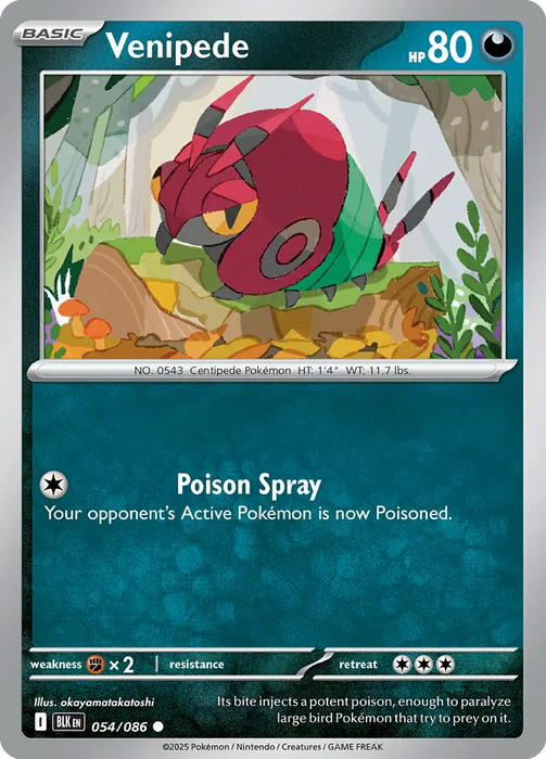 Pokemon Cards - Venipede 054/086 - Common - Black Bolt - NM