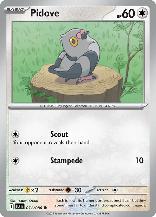 Pokemon Cards - Pidove 071/086 - Common - Black Bolt - NM