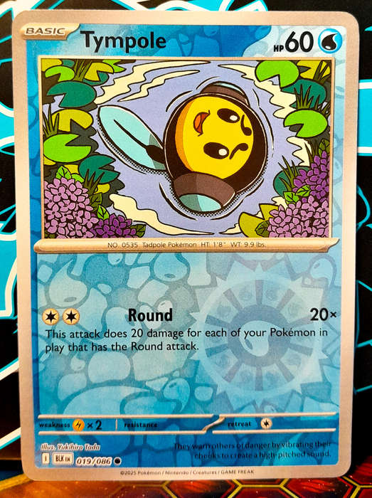 Pokemon Cards - Tympole 019/086 - Reverse Holofoil - Black Bolt - NM