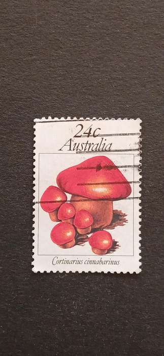 AUSTRALIA 1981 MUSHROOMS