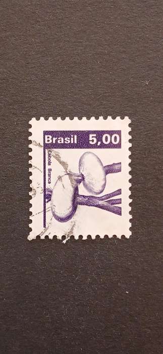 BRAZIL 1982 AGRICULTURAL PRODUCTS
