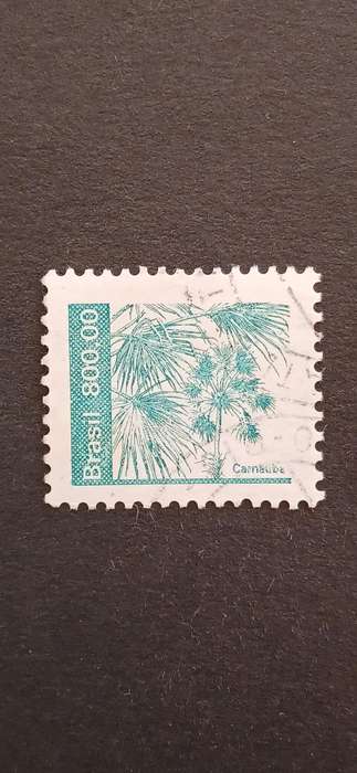 BRAZIL 1984 AGRICULTURAL PRODUCTS