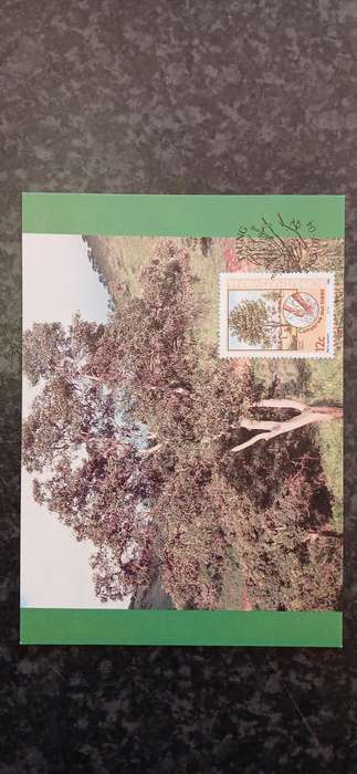 BOPHUTHATSWANA 1985 TREE CONSERVATION