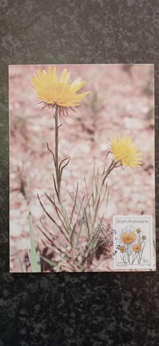 BOPHUTHATSWANA 1987 WILD FLOWERS