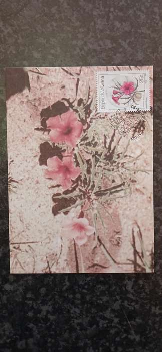 BOPHUTHATSWANA 1987 WILD FLOWERS