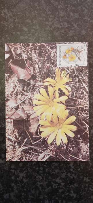 BOPHUTHATSWANA 1987 WILD FLOWERS