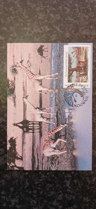 BOPHUTHATSWANA 1988 NATIONAL PARKS BOARD
