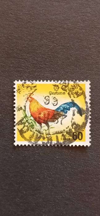 CEYLON 1966 BIRDS