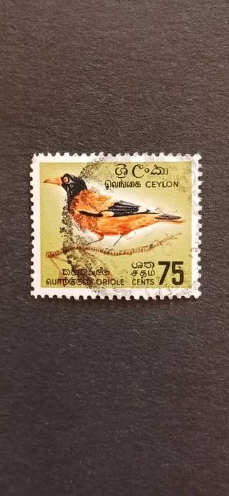 CEYLON 1966 BIRDS