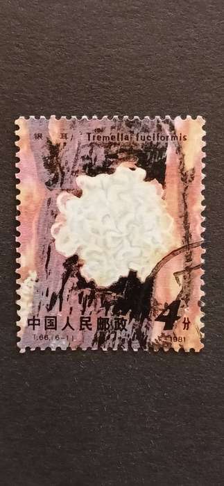 CHINA PR 1981 EDIBLE MUSHROOMS