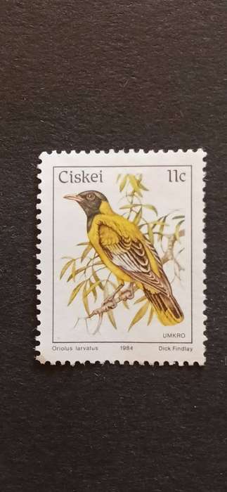 CISKEI 1984 BIRDS BLACK HEADED ORIOLE