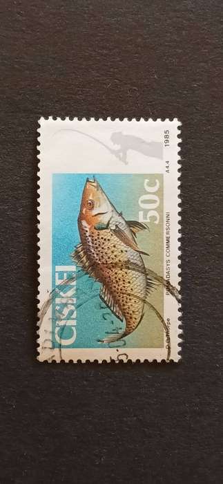 CISKEI 1985 FISH