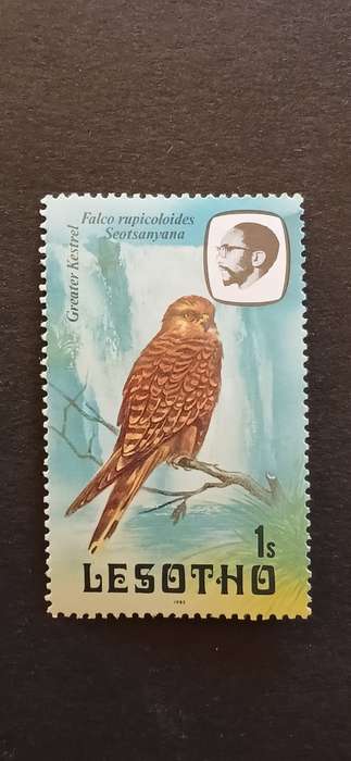 LESOTHO 1981 BIRDS