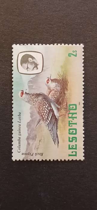 LESOTHO 1981 BIRDS