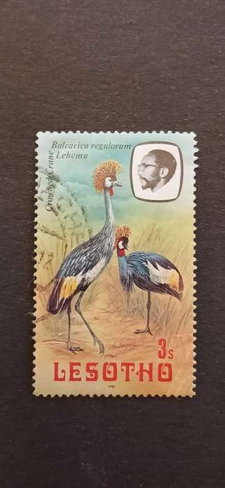 LESOTHO 1981 BIRDS