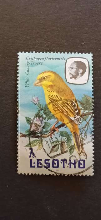 LESOTHO 1981 BIRDS