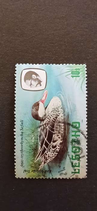 LESOTHO 1981 BIRDS