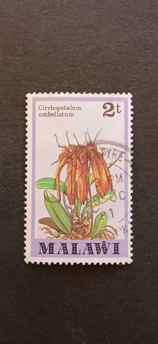 MALAWI 1979 ORCHIDS