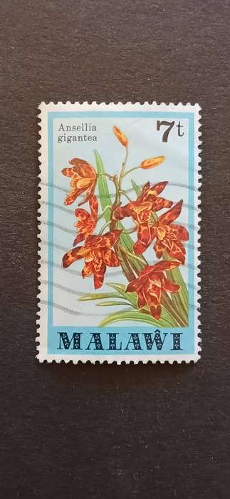 MALAWI 1979 ORCHIDS