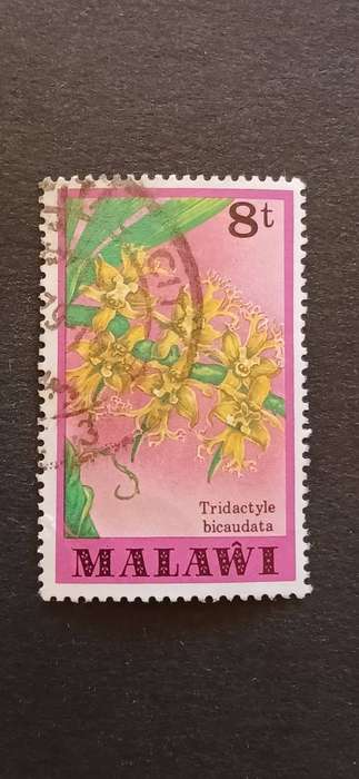 MALAWI 1979 ORCHIDS